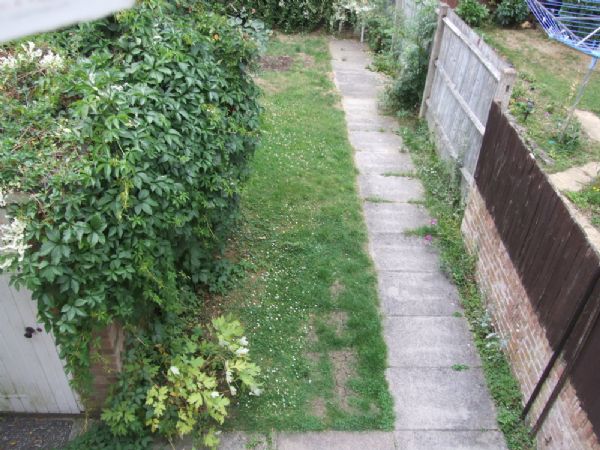Michael Anthony Hemel Hempstead - Grovehill - Garden